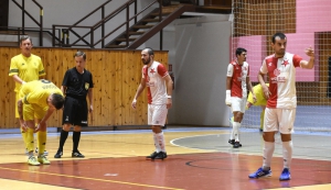 Fotografie z přátelského utkání Nejzbach - Slavia Praha 5:9